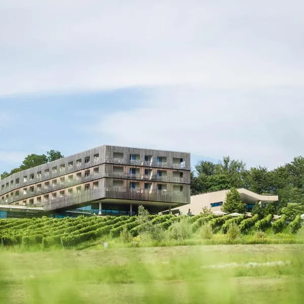 LOISIUM Wine & Spa Hotel Südsteiermark，位于埃伦豪森的酒店
