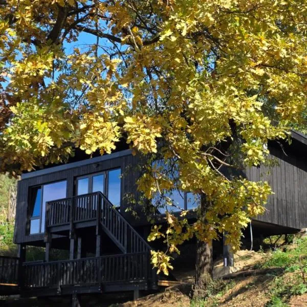 Nomad Hill Cabins，位于Rugineşti的酒店