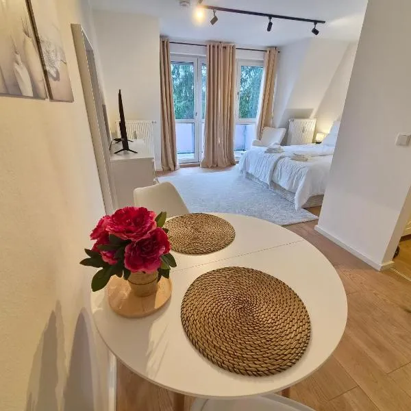Radebeul Charmantes Studio mit Küche und Balkon，位于拉德博伊尔的酒店