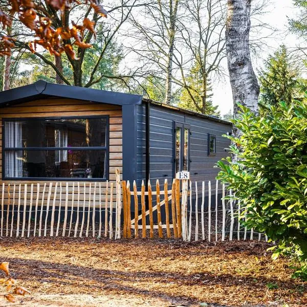 Chalet met 3 slaapkamers in bosrijke omgeving，位于Doornspijk的酒店