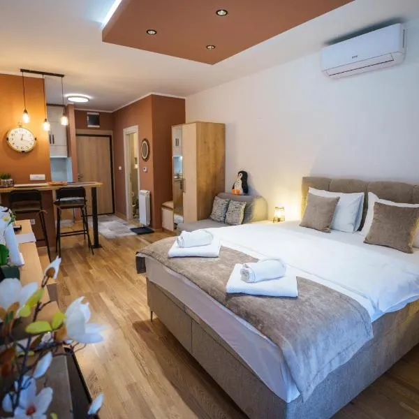 Studio DORA SS，位于Stari Banovci的酒店