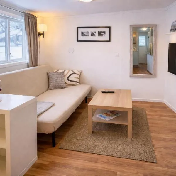 Cosy Studio in villa area, near Umeå Centre，位于于默奥的酒店