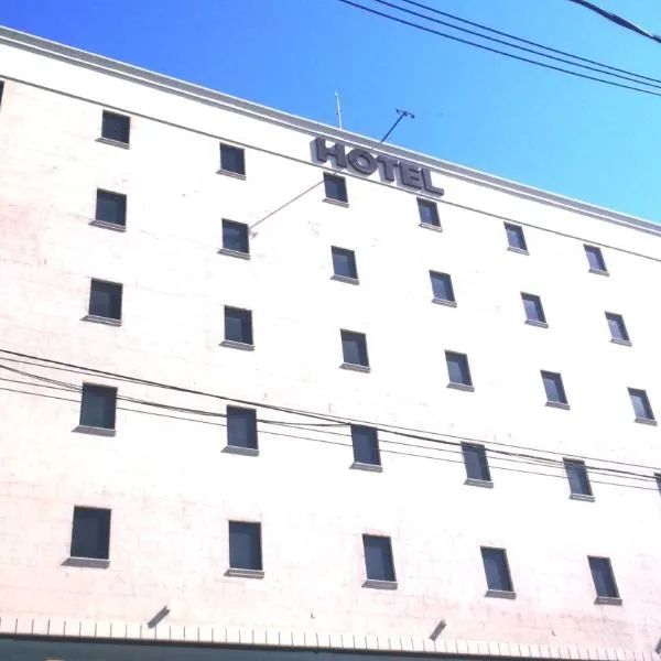 Dom Quixote São Gonçalo Hotel，位于帕克塔的酒店