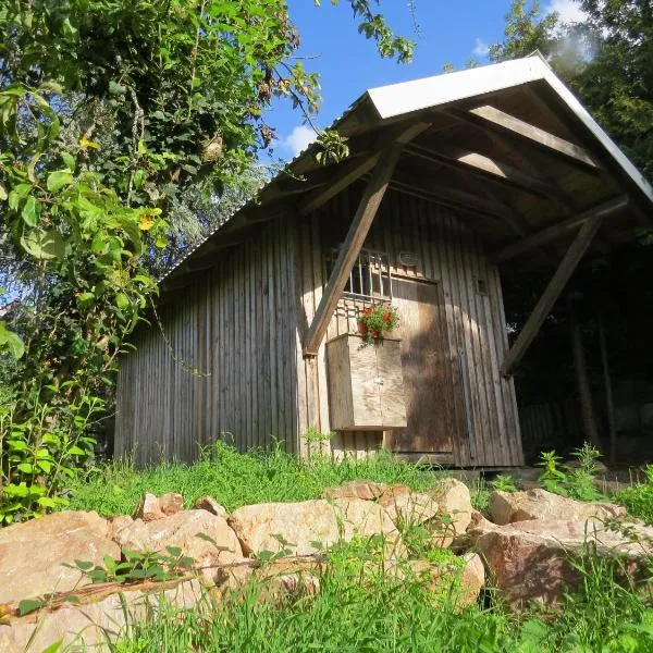 Wildhütte Schinderhannes，位于Schwarzerden的酒店