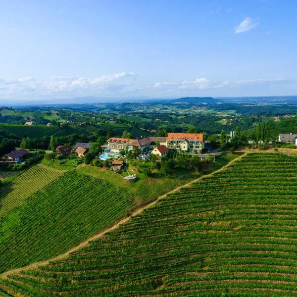 das kappel wein gut hotel，位于绍萨尔地区基策克的酒店