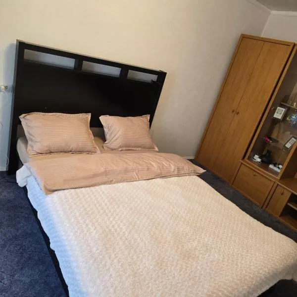 Family-Friendly 2-Room Apartment near Park，位于基希讷乌的酒店