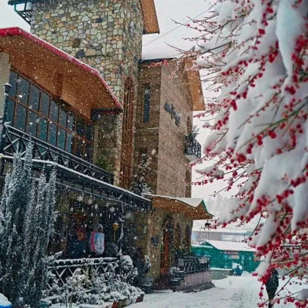 Hotel Alpine Musk，位于卡纳塔尔的酒店