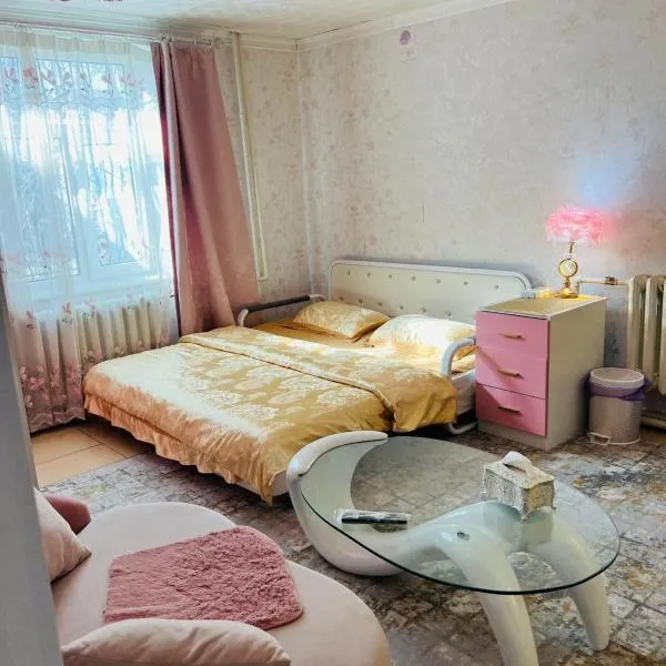 Mandakh Naran Guest House，位于Dzuunmod的酒店