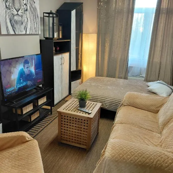 Sunny Days Cozy Apartment，位于Boutersem的酒店