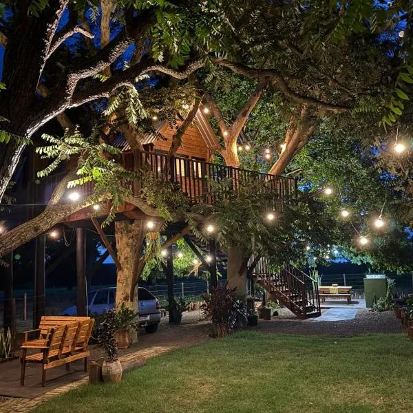 Casa na arvore Dream tree house，位于Santa Clara dʼOeste的酒店