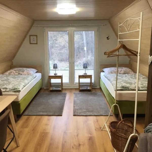 Ferienhaus Plöwen MV，位于Plöwen的酒店