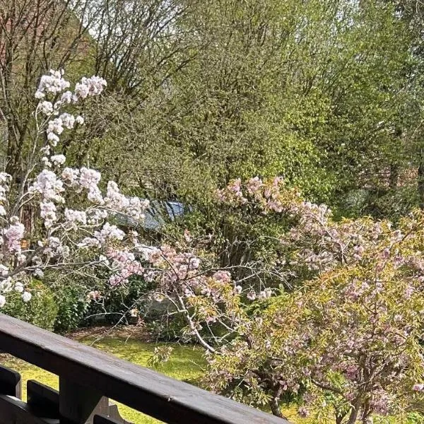 Apartment Gardenview，位于Kinsau的酒店