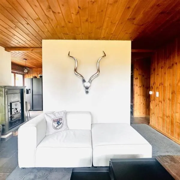Ski access from Parsenn Cozy Design Chalet Horn，位于Davos Wolfgang的酒店