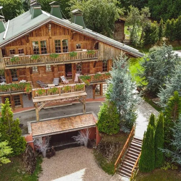Magic Megève Bois，位于代米考迪亚的酒店