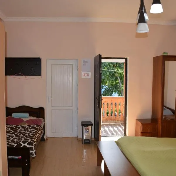 Budget Hostel in Mestia，位于梅斯蒂亚的酒店