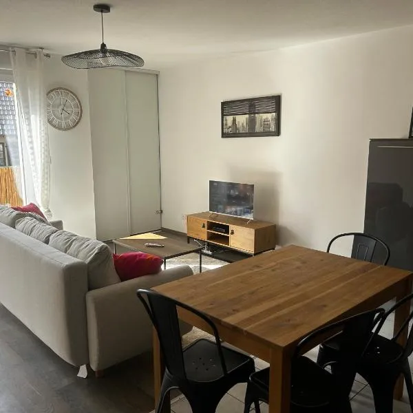 L appart - à 10 min de Colmar - parking et garage gratuit - ascenseur & clim，位于Sainte-Croix-en-Plaine的酒店