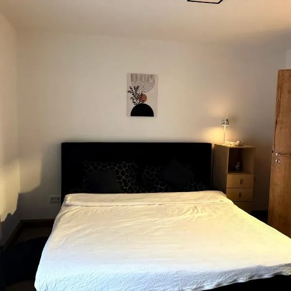 BM Wohnung，位于迪林根安得萨尔的酒店
