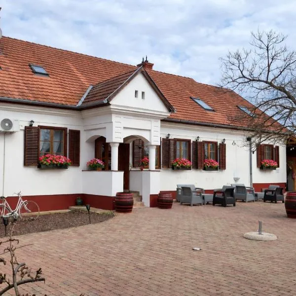 Noble'S Vendégház，位于Nemesnép的酒店