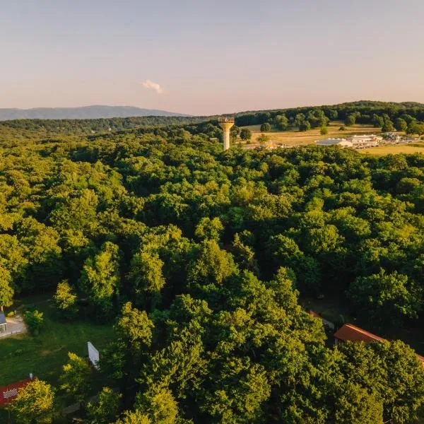阿森纳园特兰西瓦酒店，位于奥勒什蒂耶的酒店