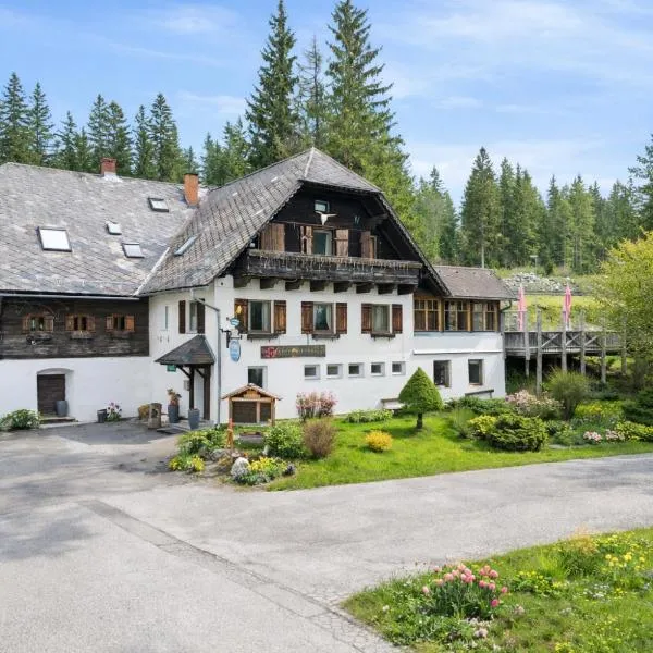 霍伊斯维特高山宾馆，位于Modriach的酒店