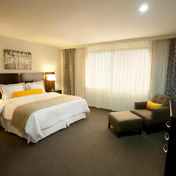 Hotel Los Andes，位于圣佩德罗苏拉的酒店
