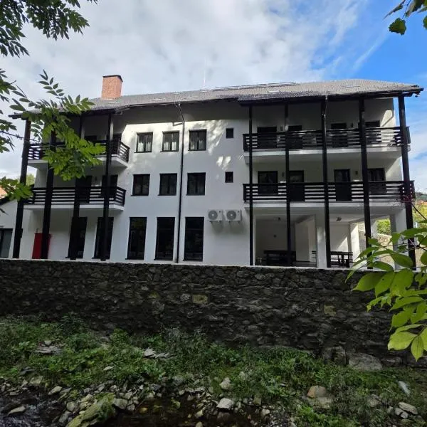 Agropensiune turistica Dor de Munte，位于Obîrşia-Cloşani的酒店
