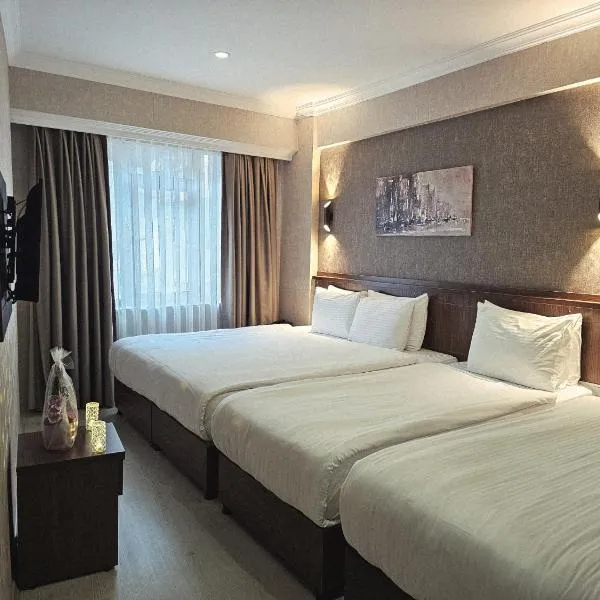 Diamond Beyazit Hotel，位于伊斯坦布尔的酒店