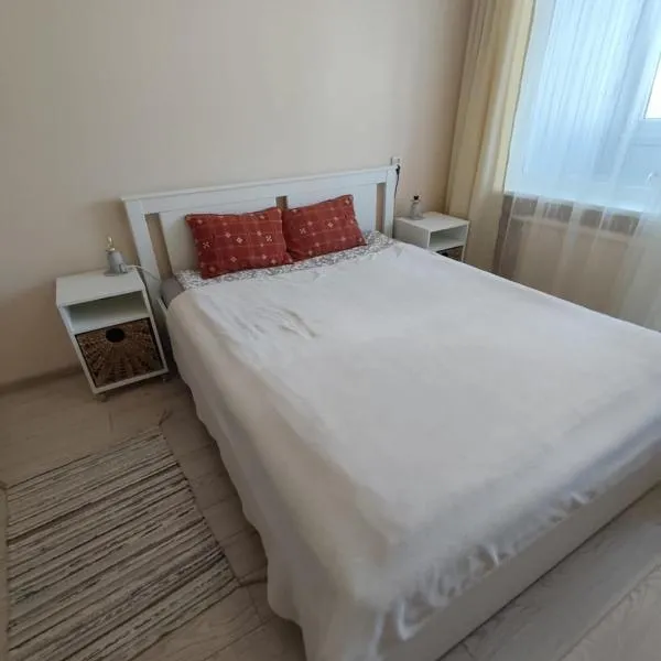Rinktinės apartments，位于维尔纽斯的酒店
