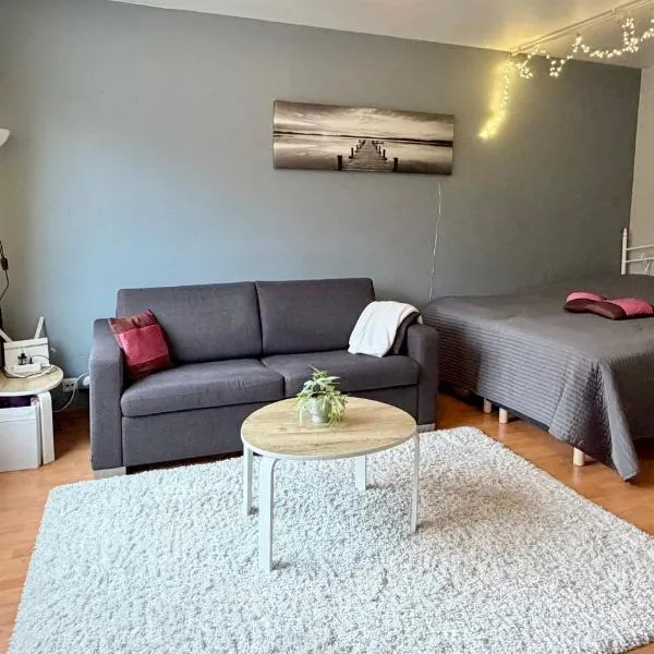Cozy apartment in Hyvinkää - close to the city center，位于许温凯的酒店