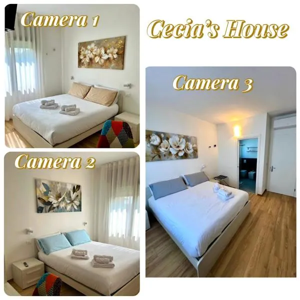 Cecia's House，位于巴萨诺－德尔格拉帕的酒店