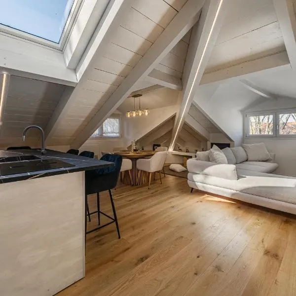 Attico Mansardato con terrazzo privato，位于蒙扎的酒店