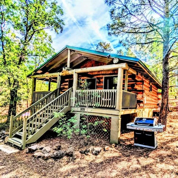 Charming Log Cabin in Tall Pines w Large Deck，位于派托普湖畔的酒店