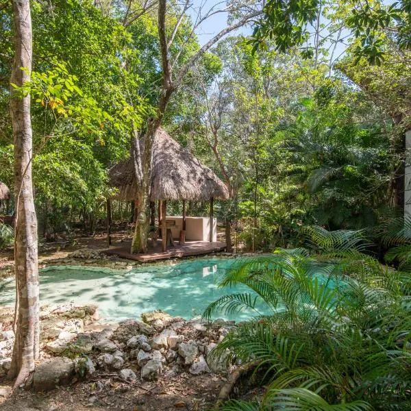 Private Jungle Villa with Full Kitchen & Pool Access，位于图卢姆的酒店