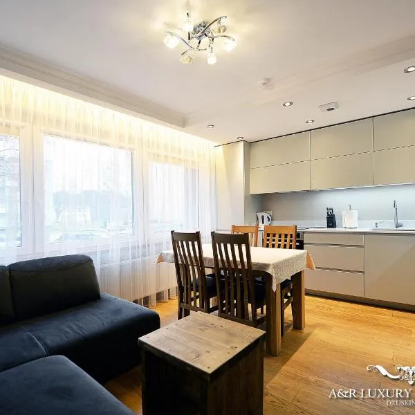 Luxury apartment Vytauto 16，位于Žiogeliai的酒店