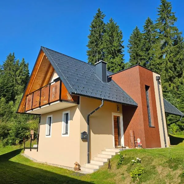 Siedls Enzian，位于Hirschegg Rein的酒店