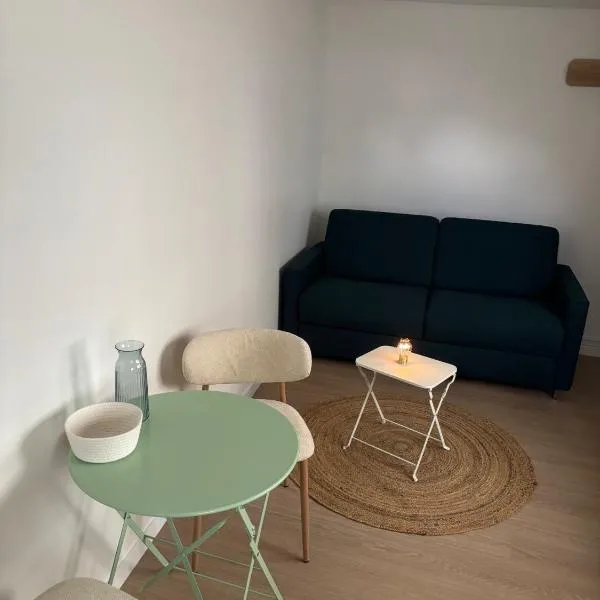 Charmant studio centre ville proche RER avec wifi，位于圣日耳曼昂莱的酒店