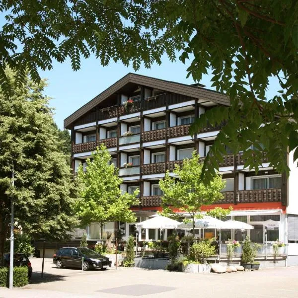 北斗星酒店，位于Buhlbach的酒店