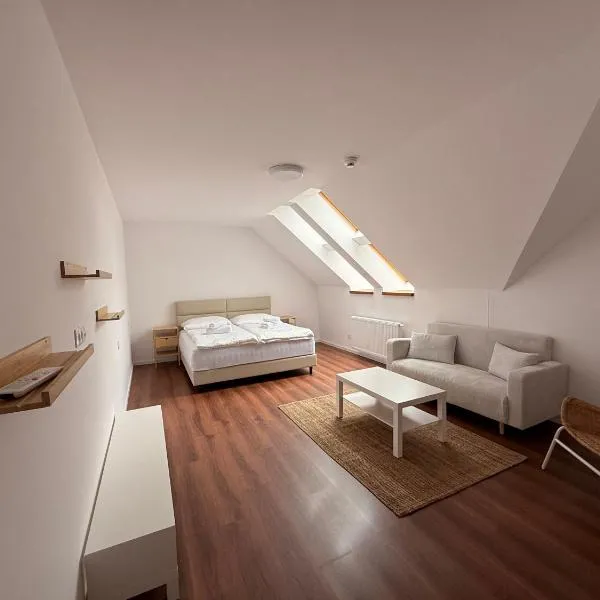 Nidum - Šariš Park Hotel & Wellness，位于普雷绍夫的酒店