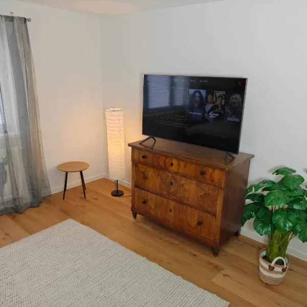 Cozy Modern Apartment in Seelbach near Europa Park，位于塞尔巴赫的酒店