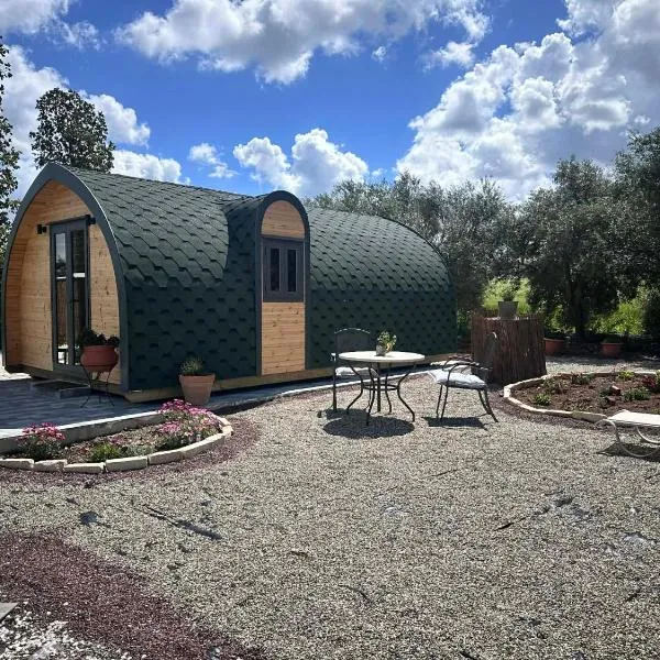 Casa Leandro glamping wooden tiny house，位于拉基的酒店