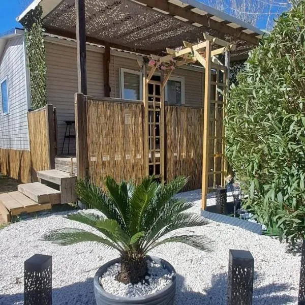 Mobile Home 8 personnes，位于维亚斯的酒店