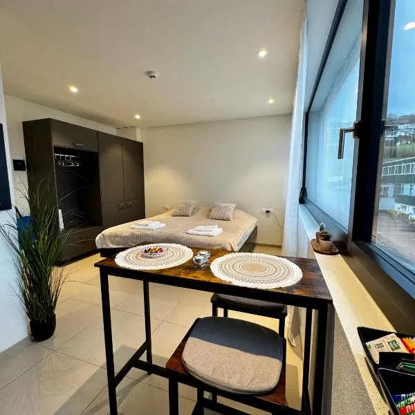 Studio am See，位于Beinwil的酒店