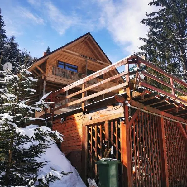 Cabana "Trei Brazi " Retezat，位于莫里河乡的酒店