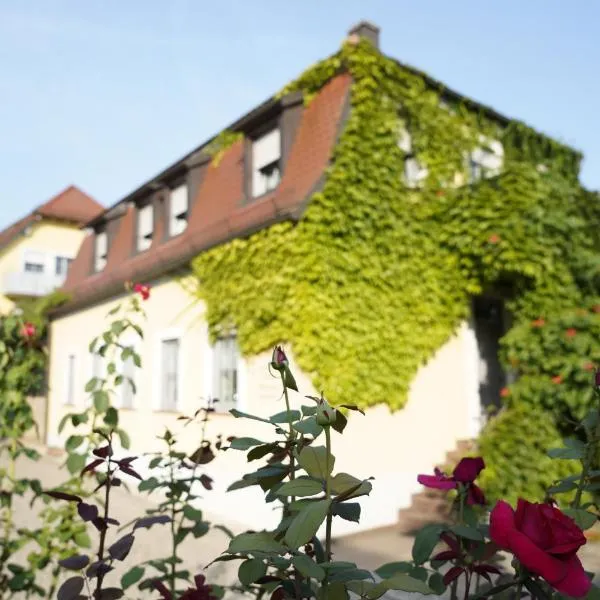 Weingut Martin Blaß，位于厄拉布恩的酒店