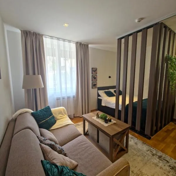 Kopaonik Premium 4-star Studio, 3 min to Gondola, Brzeće Centar，位于布尔泽策的酒店