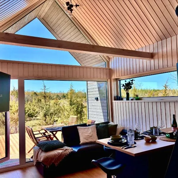 Sadama Willa with private mini SPA，位于Heltermaa的酒店