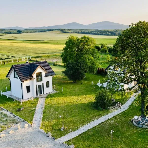 Nuka House - Teatr Natury z Jacuzzi，位于Łąka Prudnicka的酒店