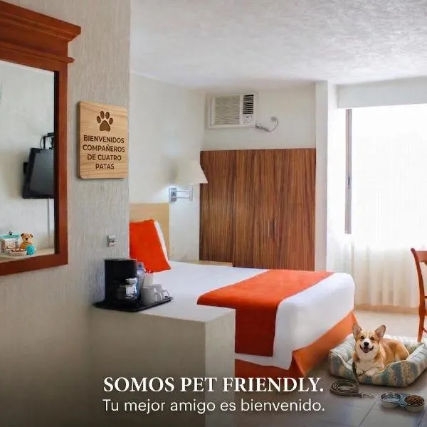 瑞欧德拉果套房酒店，位于比亚埃尔莫萨的酒店