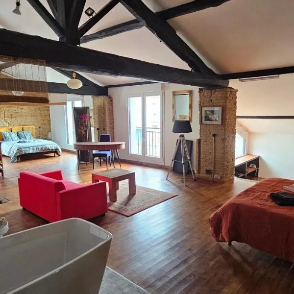 Loft industriel de 220 métres carré sur deux niveaux,位于Montech的酒店