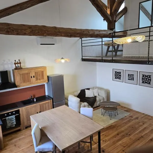 Aigues-Vives Appartement，位于Aigues-Vives的酒店